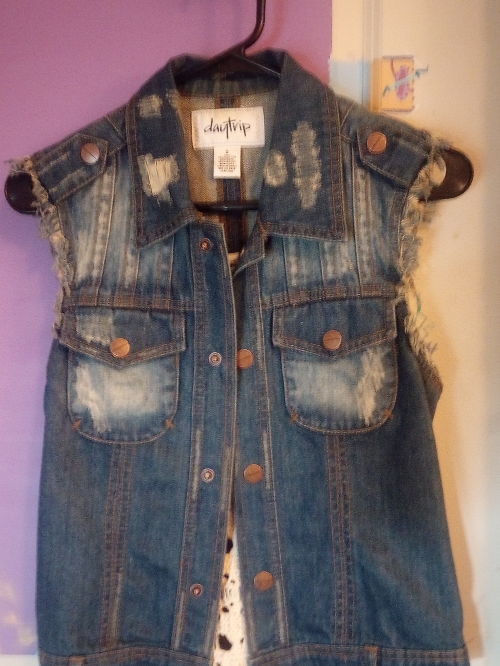 Daytrip Distressed Sleeveless Denim Vest (Small)